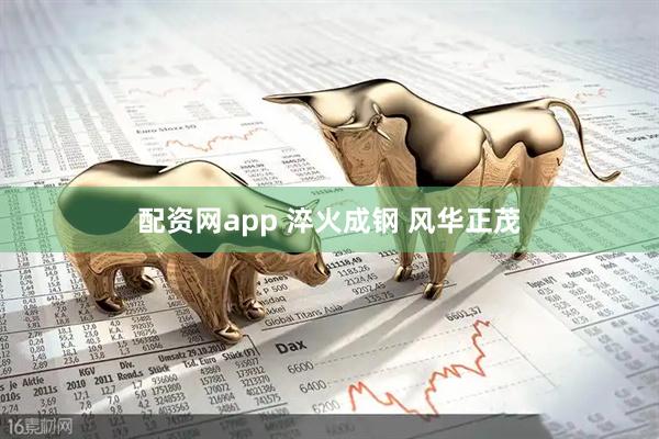 配资网app 淬火成钢 风华正茂
