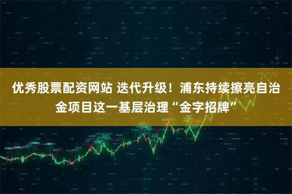优秀股票配资网站 迭代升级！浦东持续擦亮自治金项目这一基层治理“金字招牌”